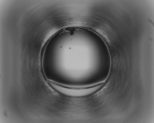 X0000096631469200802191145