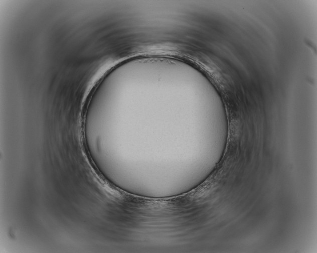 X0000096631470200802191145