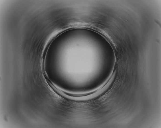 X0000096631472200802191145