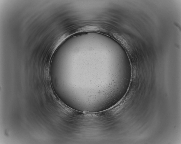 X0000096631473200802191145