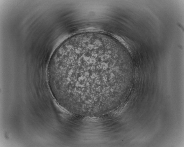 X0000096631474200802191145