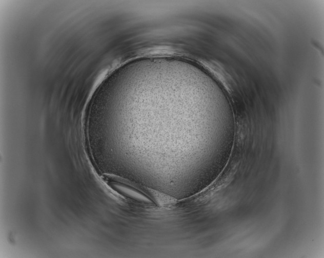 X0000096631475200802191145