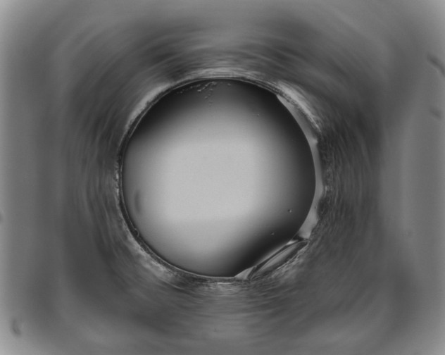X0000096631476200802191145