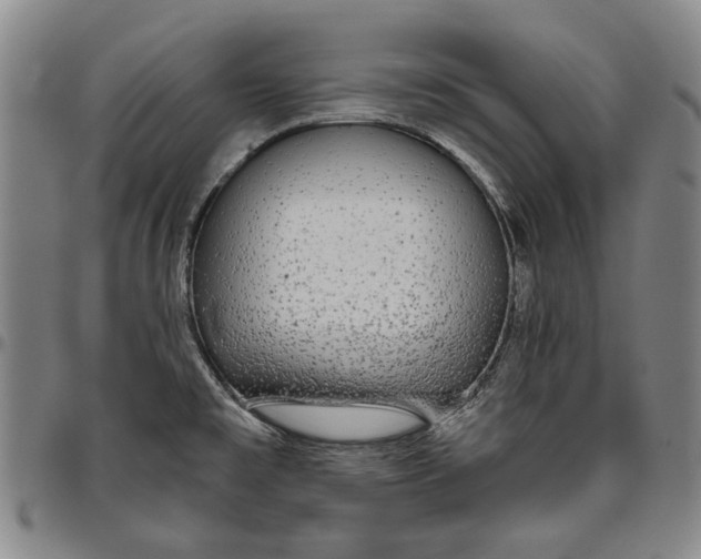 X0000096631477200802191145