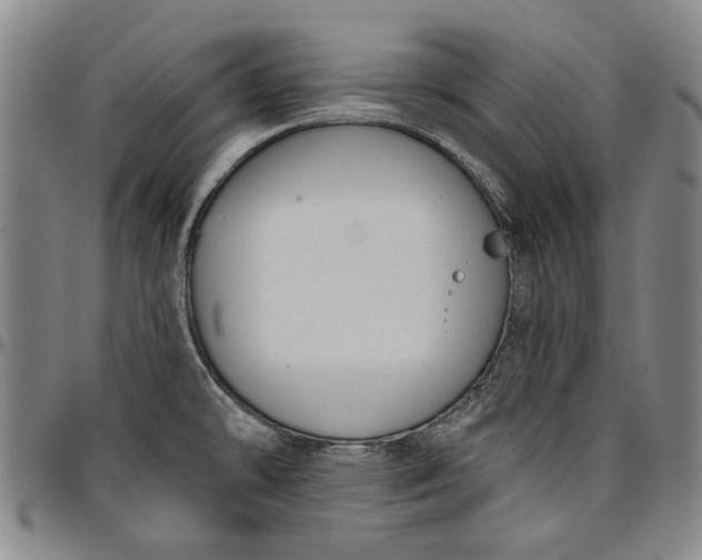 X0000096631478200802191145