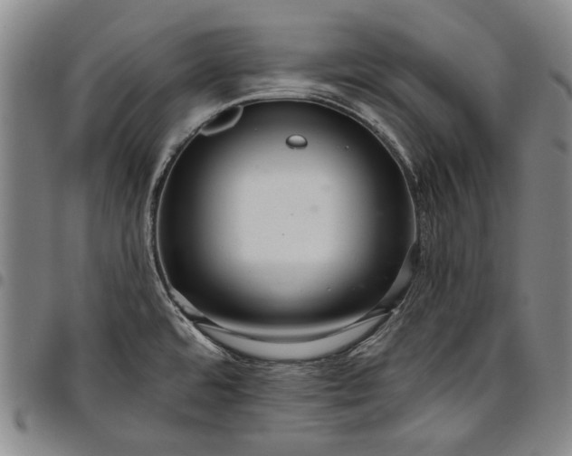 X0000096631480200802191145