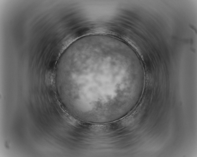 X0000096631481200802191145