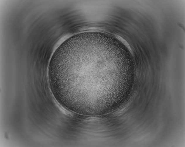 X0000096631482200802191145