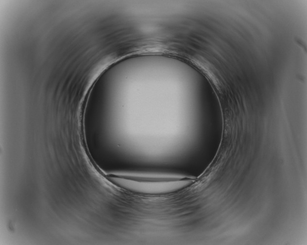 X0000096631483200802191145