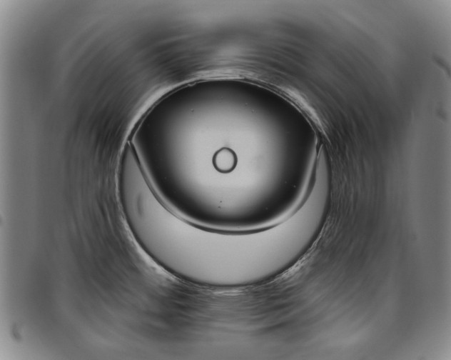 X0000096631484200802191145