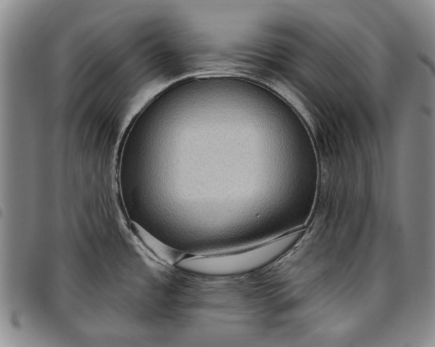 X0000096631485200802191145