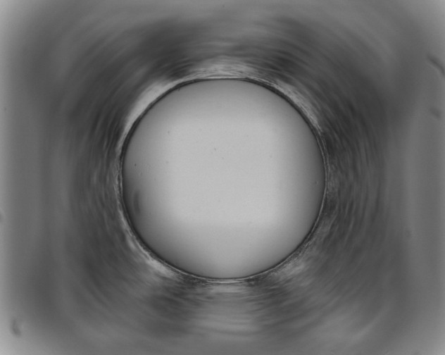 X0000096631486200802191145