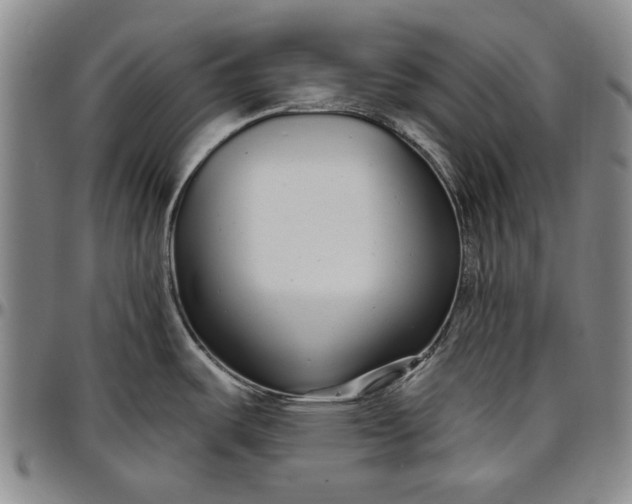 X0000096631487200802191145