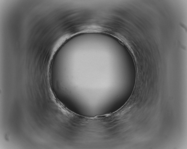 X0000096631488200802191145