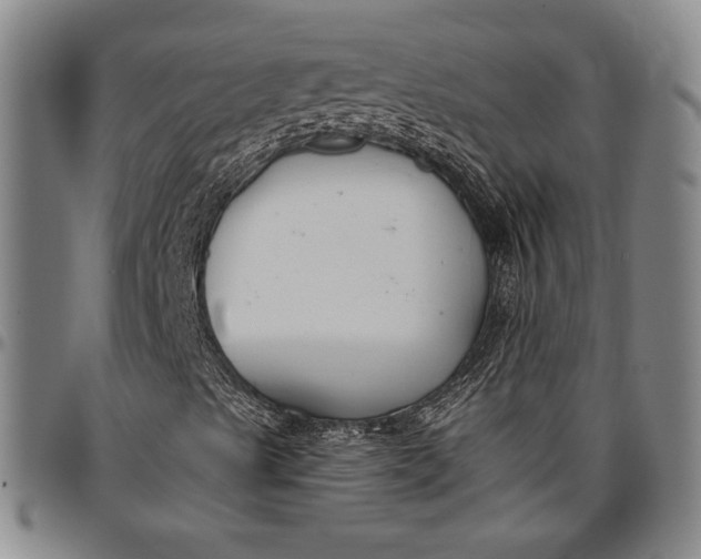X0000096631489200802191144
