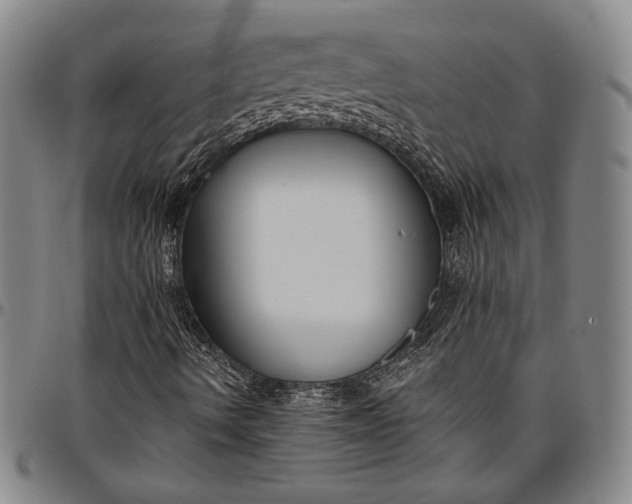 X0000096631490200802191144