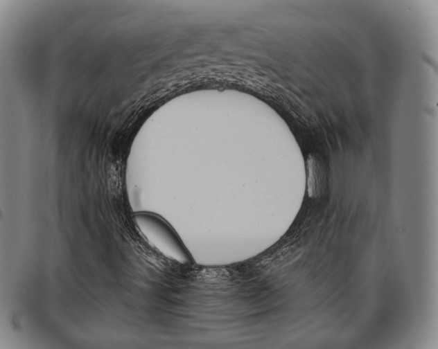 X0000096631491200802191144
