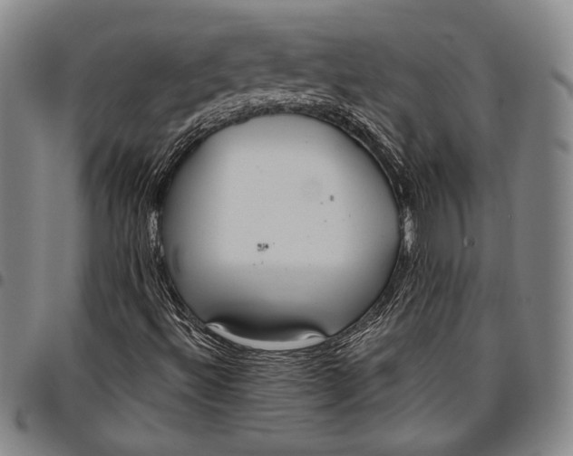 X0000096631492200802191144