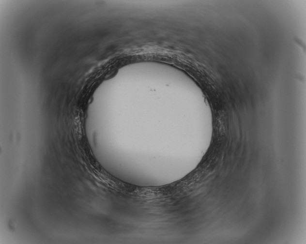 X0000096631493200802191144