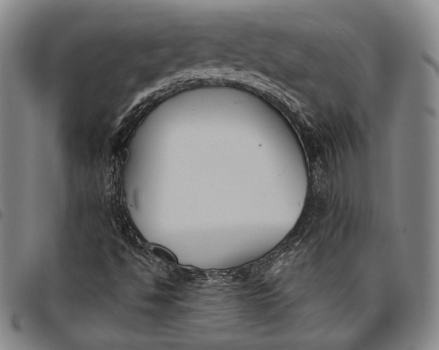 X0000096631494200802191144