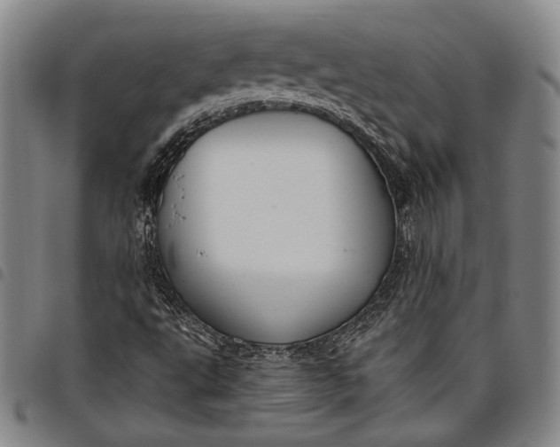 X0000096631495200802191144