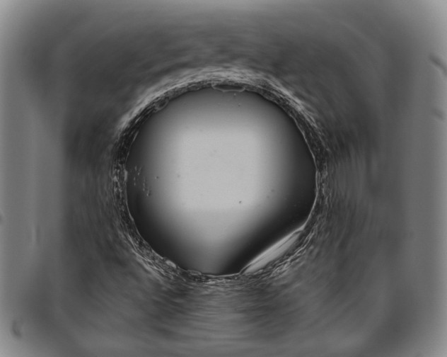 X0000096631496200802191144