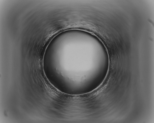 X0000096631497200802191144