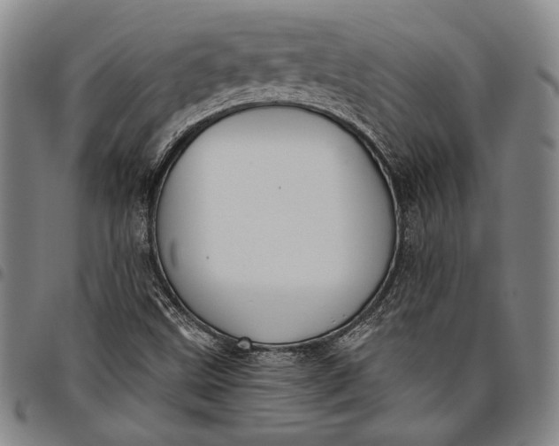 X0000096631499200802191144