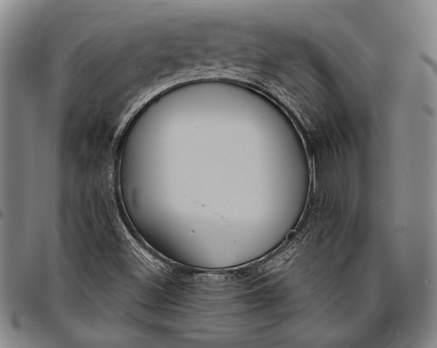 X0000096631500200802191144