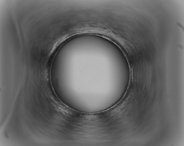 X0000096631501200802191144