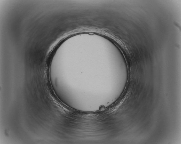X0000096631502200802191144
