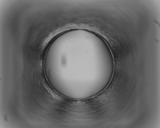 X0000096631503200802191144