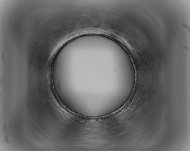 X0000096631504200802191144