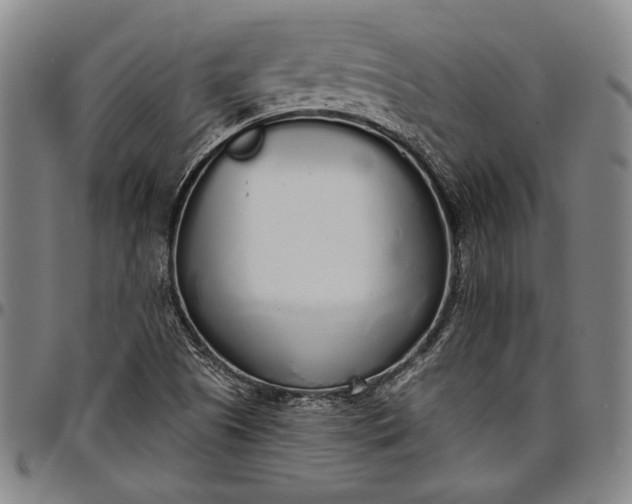 X0000096631505200802191144