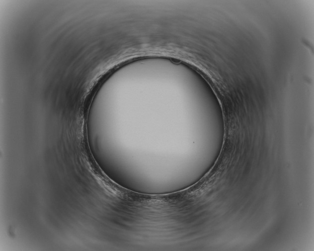 X0000096631507200802191144