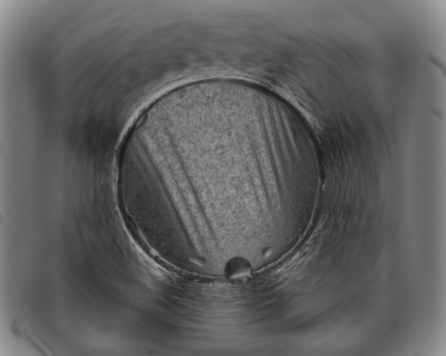 X0000096631508200802191144