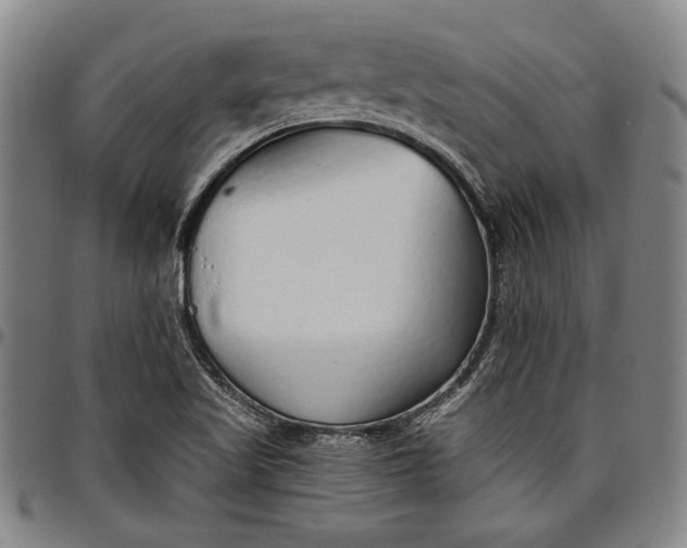 X0000096631509200802191144