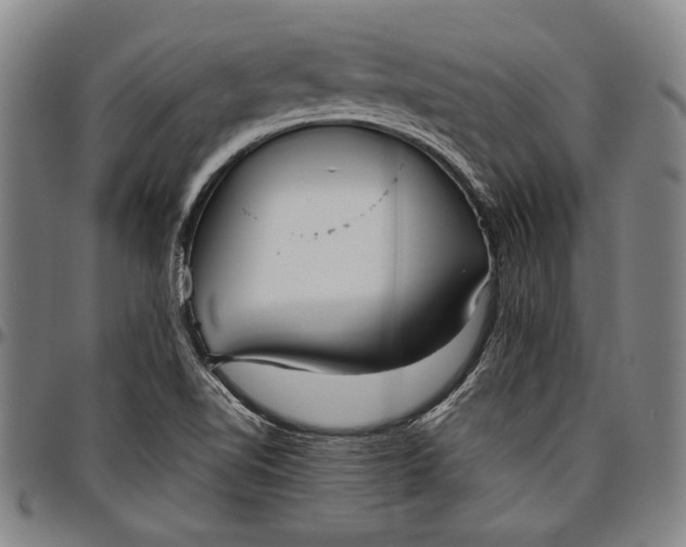 X0000096631510200802191144