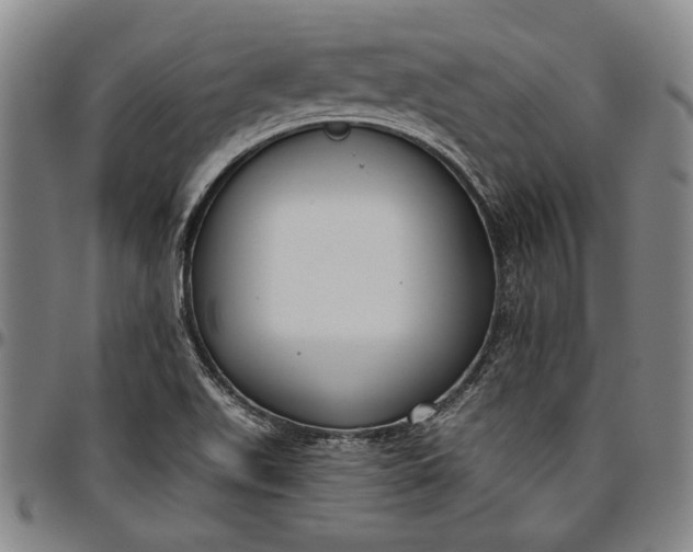 X0000096631511200802191144