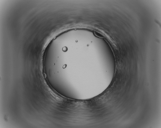 X0000096631512200802191144
