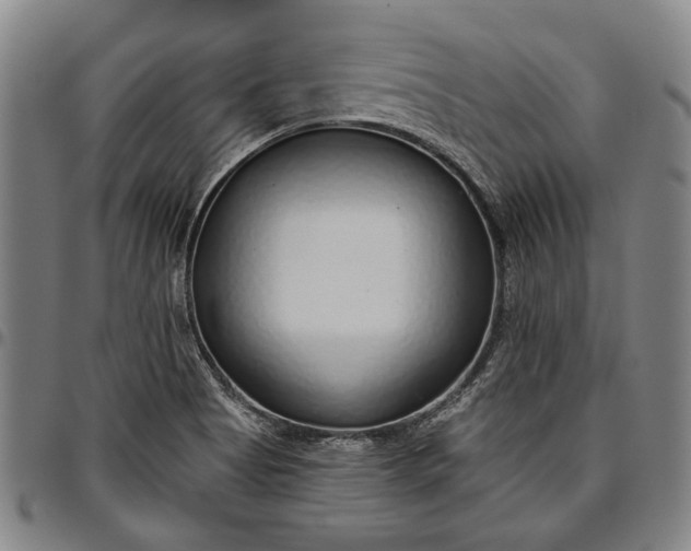 X0000096631513200802191144