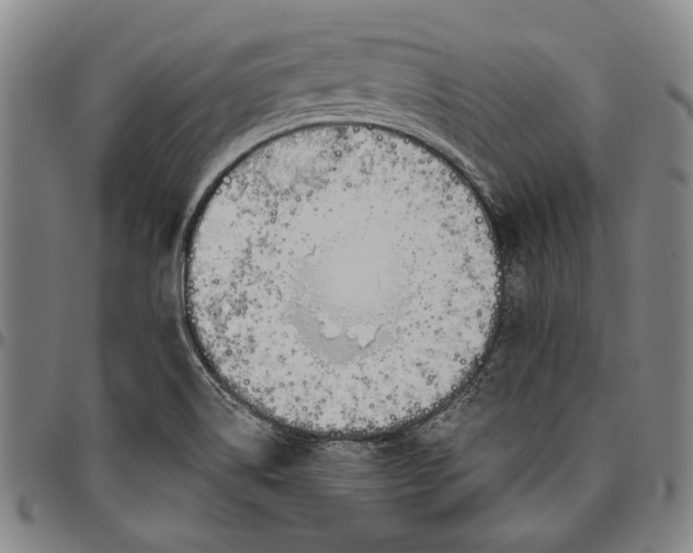 X0000096631514200802191144