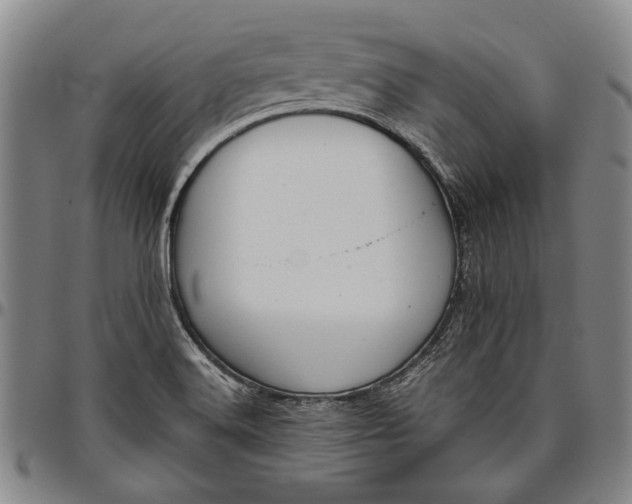 X0000096631516200802191144