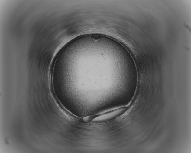 X0000096631517200802191144