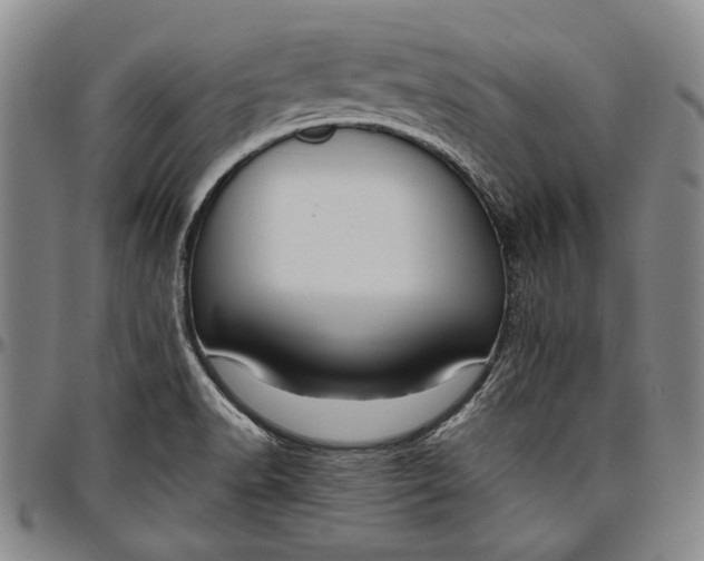 X0000096631518200802191145
