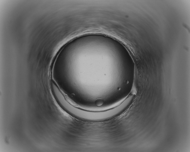 X0000096631519200802191145