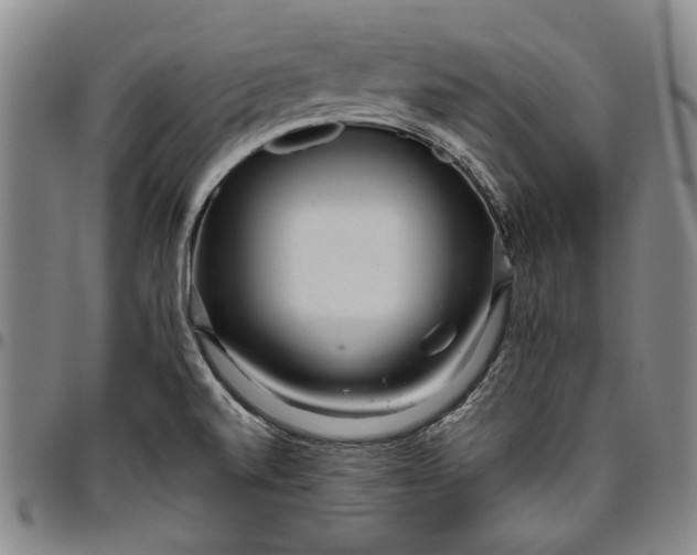 X0000096631520200802191145