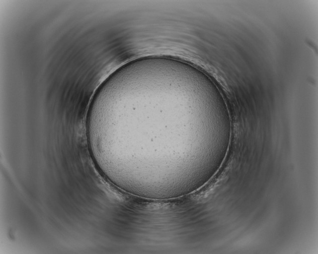 X0000096631521200802191145