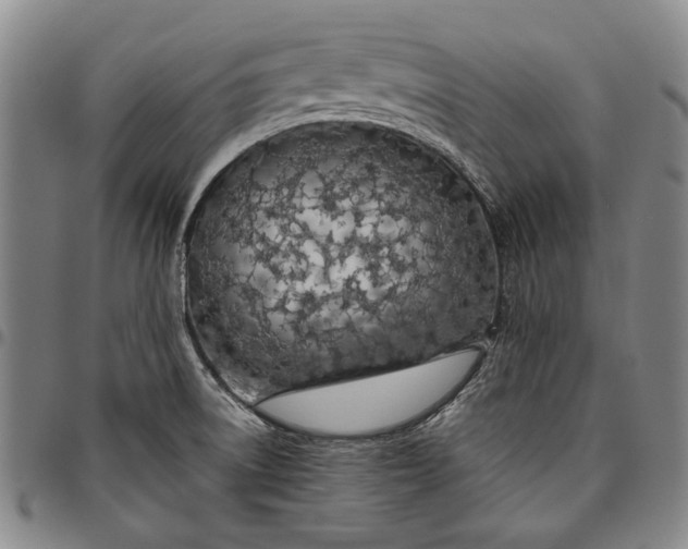 X0000096631522200802191145