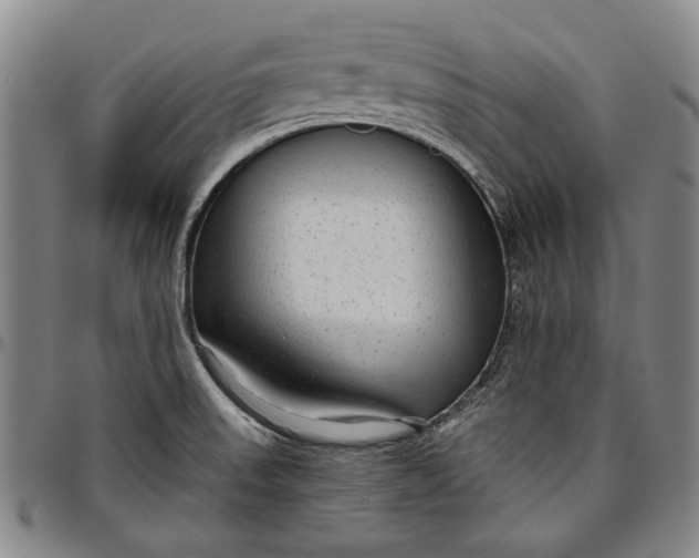 X0000096631523200802191145